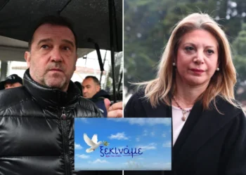 Πλακιάς: Δεν κατάλαβα το σποτ για το κόμμα Καρυστιανού, ορισμένες φορές τα περιστέρια έχουν χαμηλές πτήσεις και καταλήγουν σε κατσαρόλα