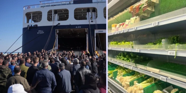 Ελλείψεις σε τρόφιμα, κλειστά τυροκομεία και κινητοποιήσεις στο λιμάνι, σε πίεση η Λέσβος λόγω αφθώδους πυρετού