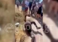 Άγριος καβγάς μεταξύ μαθητριών σε γυμνάσιο της Εύβοιας – Όλοι κοιτούσαν και βιντεοσκοπούσαν