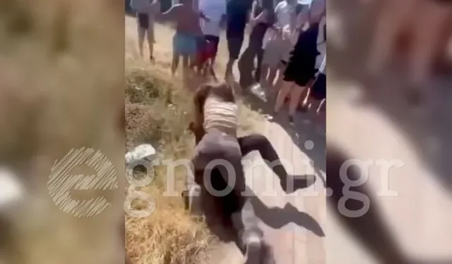 Άγριος καβγάς μεταξύ μαθητριών σε γυμνάσιο της Εύβοιας – Όλοι κοιτούσαν και βιντεοσκοπούσαν