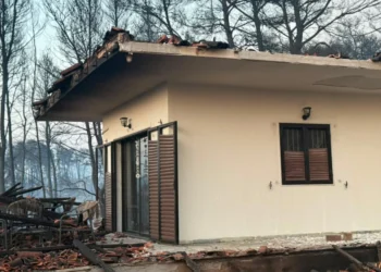 «Ευτυχώς δεν χάθηκε ανθρώπινη ζωή», λέει ο πρόεδρος του Ιατρικού Συλλόγου Χαλκιδικής για τη φωτιά στην Κασσάνδρα