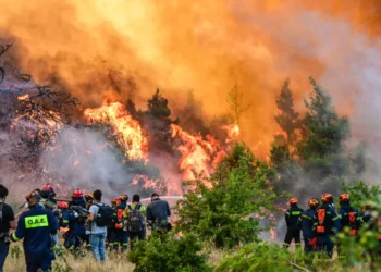 Δραματικές ώρες στη Δυτική Αττική: Εκκενώνεται η Ψάθα, οι φλόγες δίπλα στα σπίτια – Νέο 112 για απομάκρυνση από Λούμπα, Μορφέικα, Άνω Αλεποχώρι