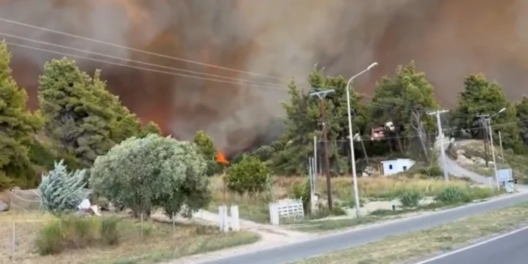 Χαλκιδική: Δραματικές ώρες στη Σίβηρη από τη μεγάλη φωτιά – Ηχεί συνεχώς το 112 – Τεράστια κινητοποίηση της πυροσβεστικής