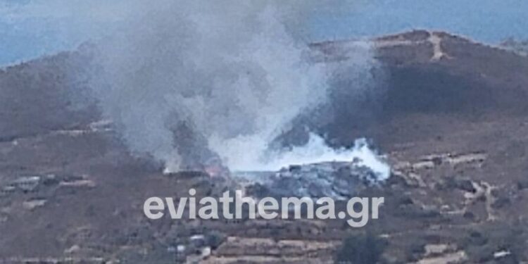 Φωτιά τώρα στην Κάρυστο: Ενισχύθηκαν οι πυροσβεστικές δυνάμεις – Μήνυμα 112 για απομάκρυνση