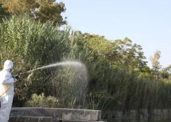 Ιός του Δυτικού Νείλου: 5 νέοι θάνατοι και 58 κρούσματα την τελευταία εβδομάδα – Οι δήμοι που βρίσκονται στο «κόκκινο»