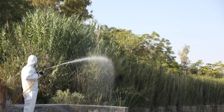 Ιός του Δυτικού Νείλου: 5 νέοι θάνατοι και 58 κρούσματα την τελευταία εβδομάδα – Οι δήμοι που βρίσκονται στο «κόκκινο»